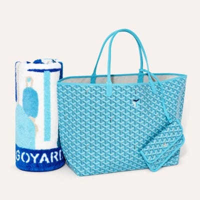 Saint Louis GM Bag and Balise Beach Towel